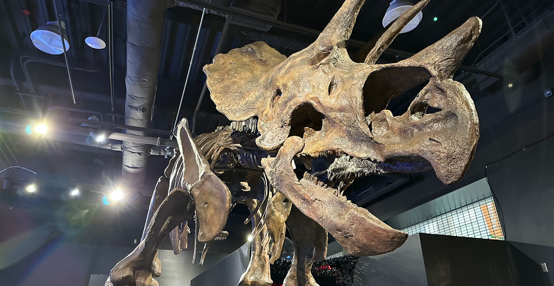 The Age of Dinosaurs Opening Day